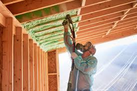 Professional Insulation Services in Chesapeake, OH